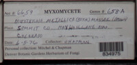 Image Associated With the Occurence